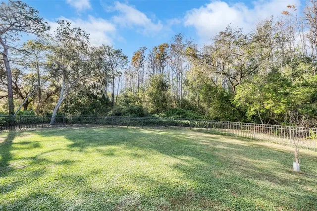 $815,000 | 1925 Schaer Way, Odessa, FL 33556