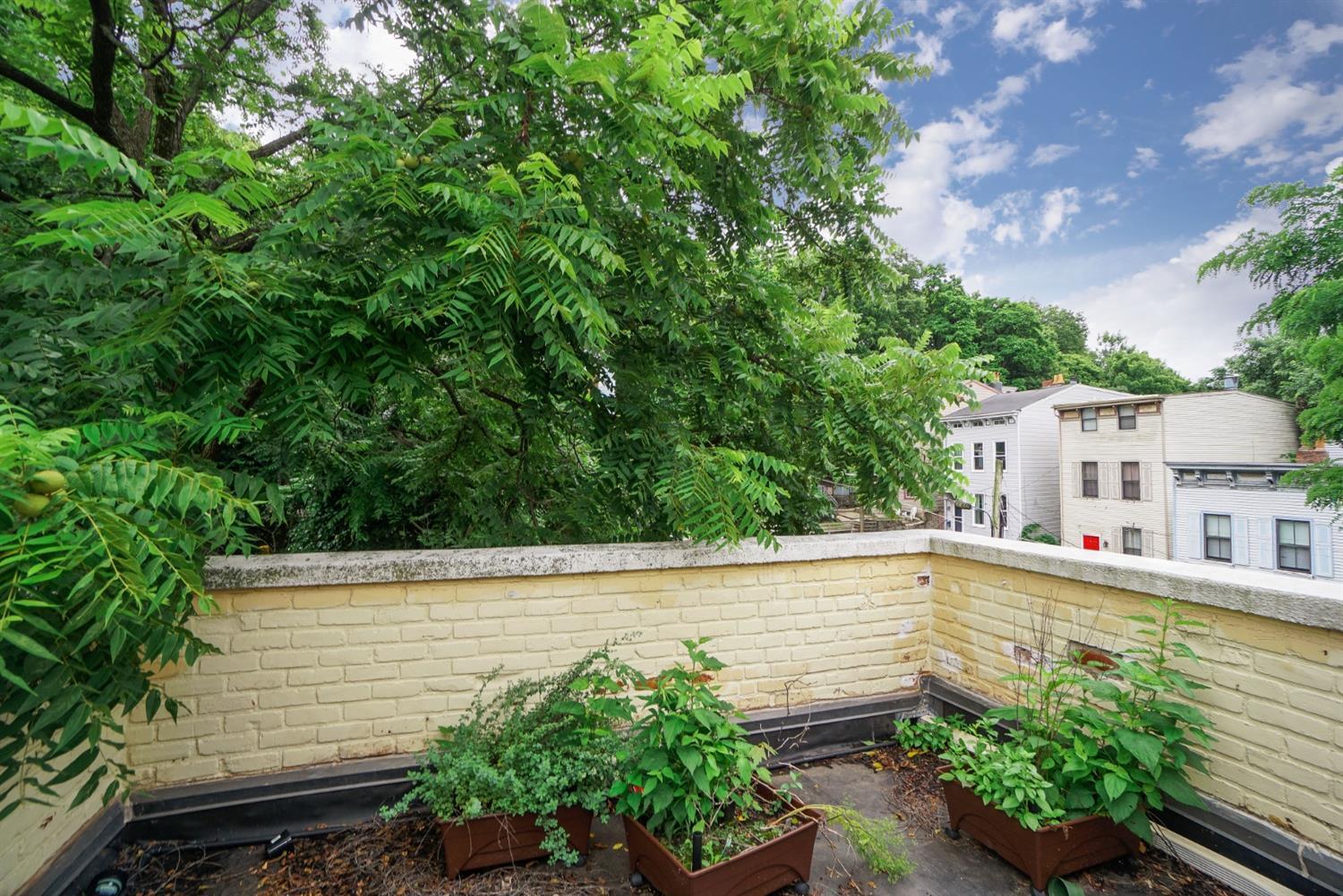 2202 Ravine Street Cincinnati, OH 45219 - Photo 21 of 24