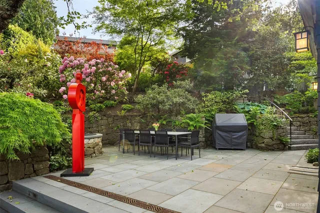 a outdoor space with lots of tall trees