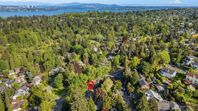 a view of a lush green field with lots of bushes