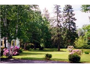 336 Mountain View Road Whitefield, NH 03598 - Photo 3 of 5 Gallery Image 3