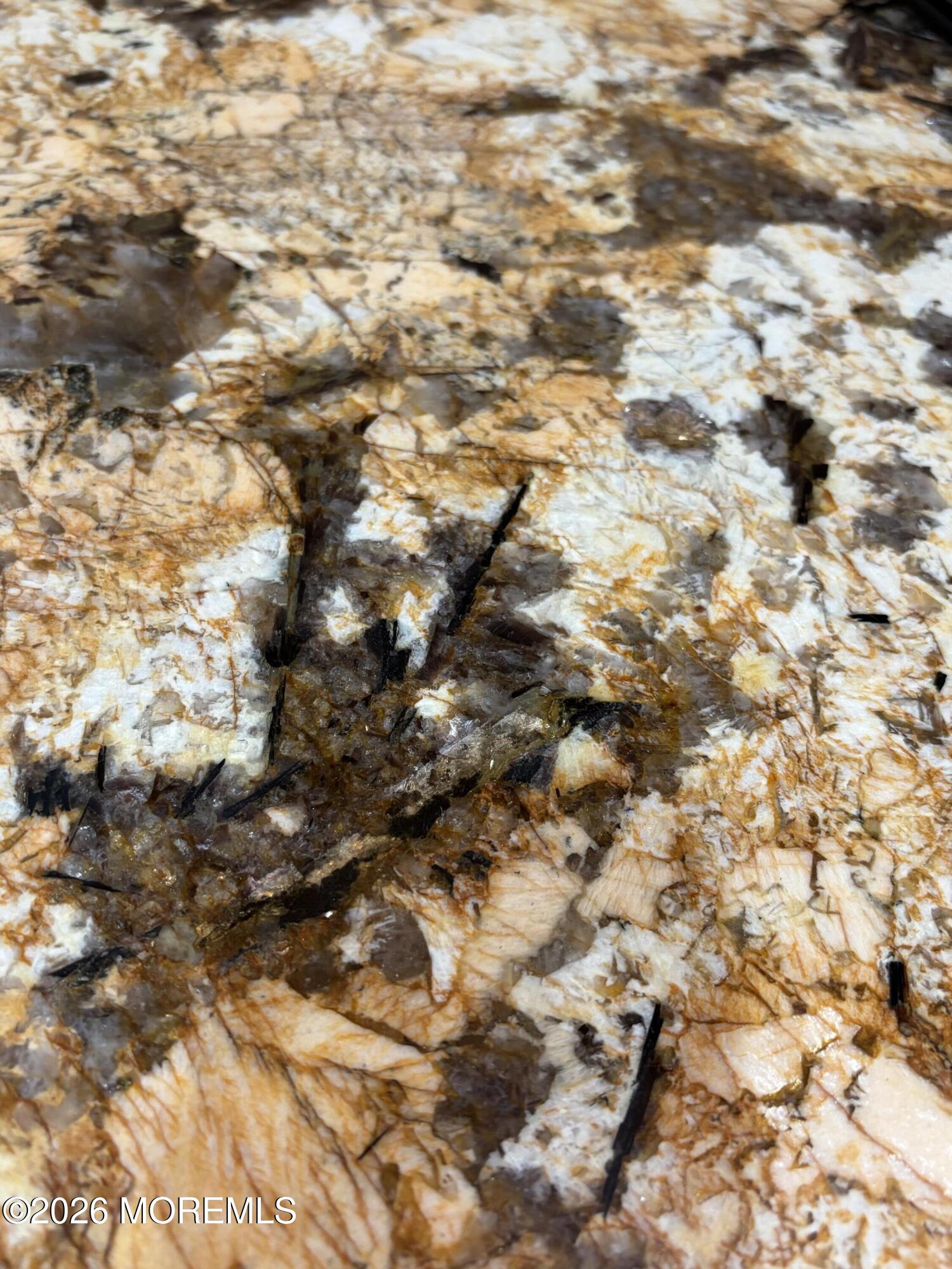 177 Cedar Swamp Road Jackson, NJ 08527 - Photo 8 of 21 IMG_0486