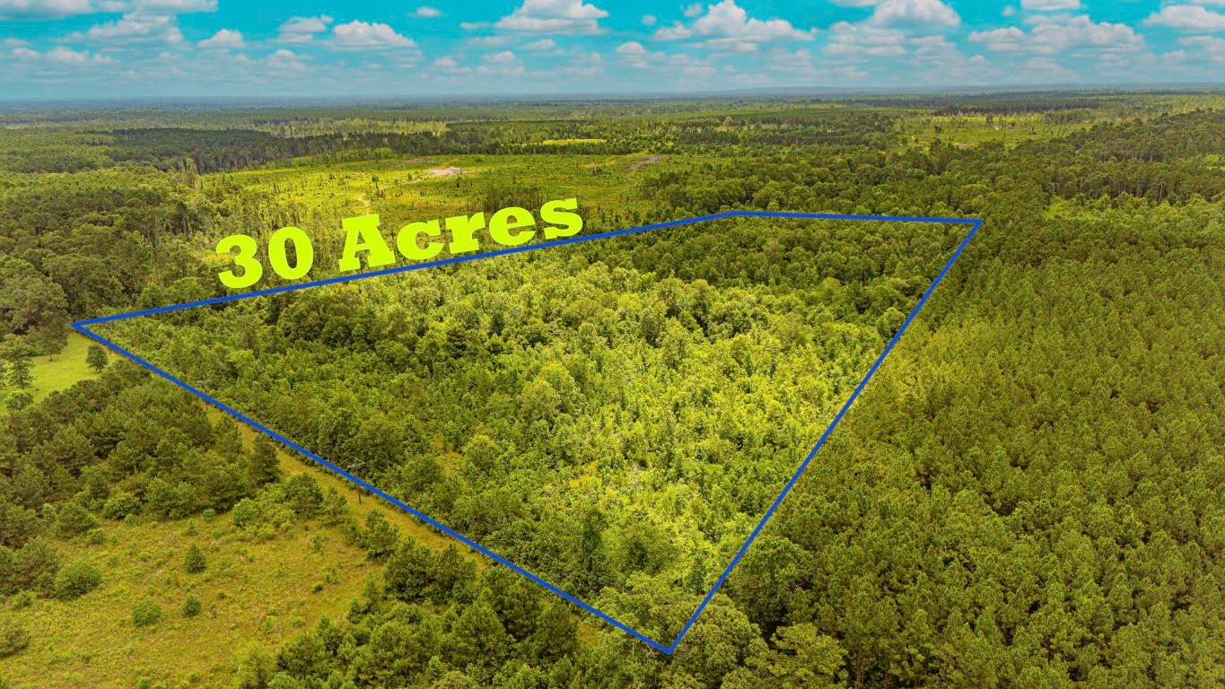 2178 County Road 2178 Cleveland, TX 77327 - Photo 2 of 10 a view of an ocean view