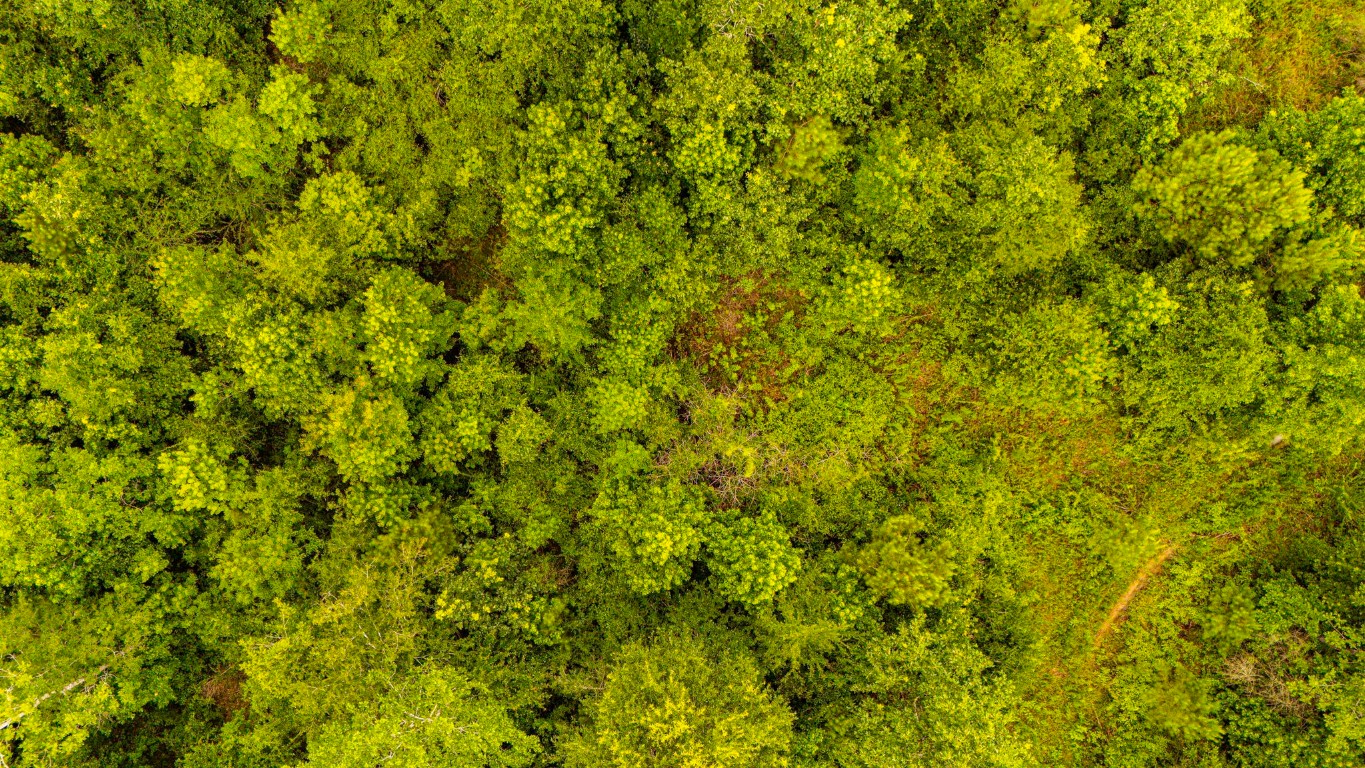 2178 County Road 2178 Cleveland, TX 77327 - Photo 4 of 10