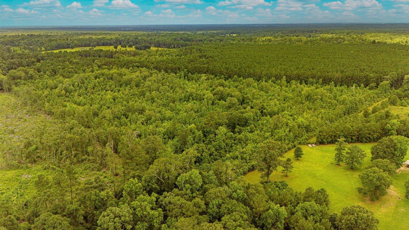 2178 County Road 2178 Cleveland, TX 77327 - Photo 5 of 10 a view of an ocean from a yard