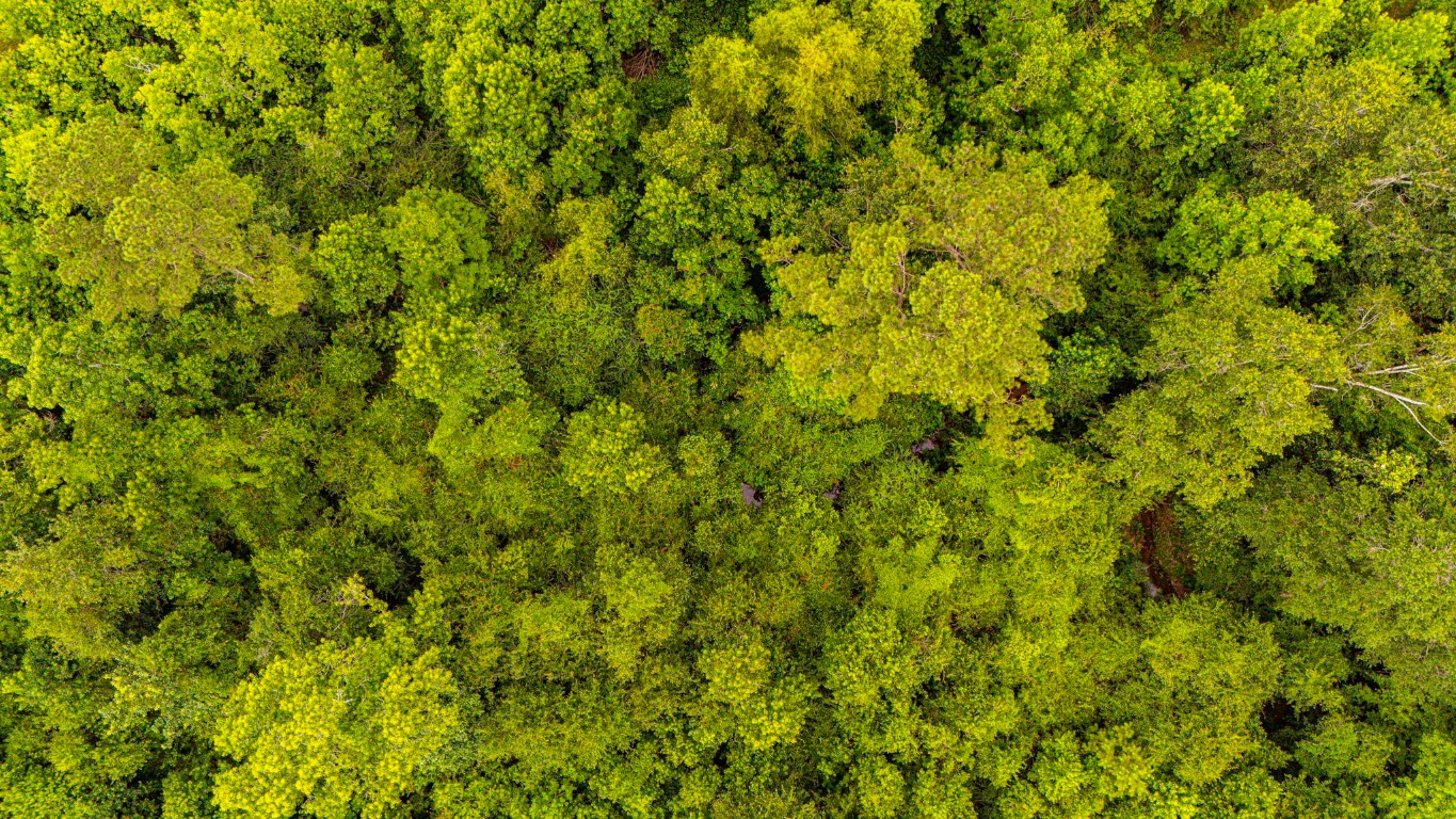 2178 County Road 2178 Cleveland, TX 77327 - Photo 9 of 10 a view of a big yard