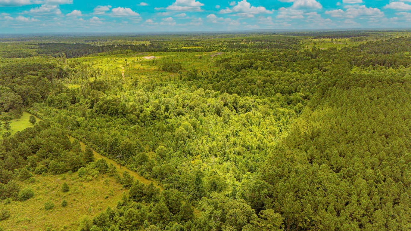 2178 County Road 2178 Cleveland, TX 77327 - Photo 10 of 10 a view of an ocean from a yard