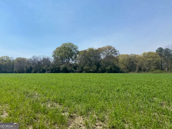 a view of field with green space