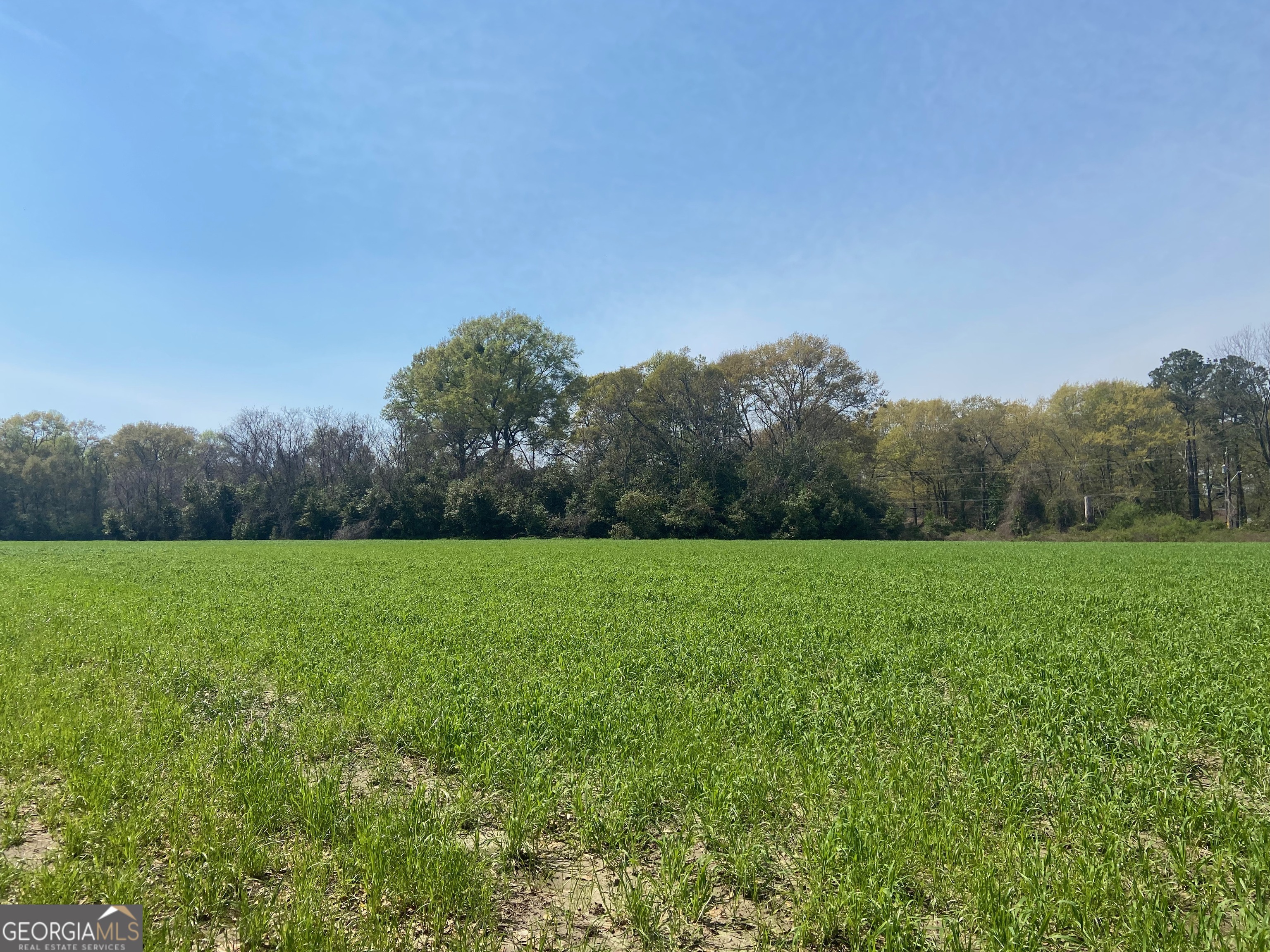 0 Moseley Road Byron, GA 31008 - Photo 2 of 11 a view of field with green space