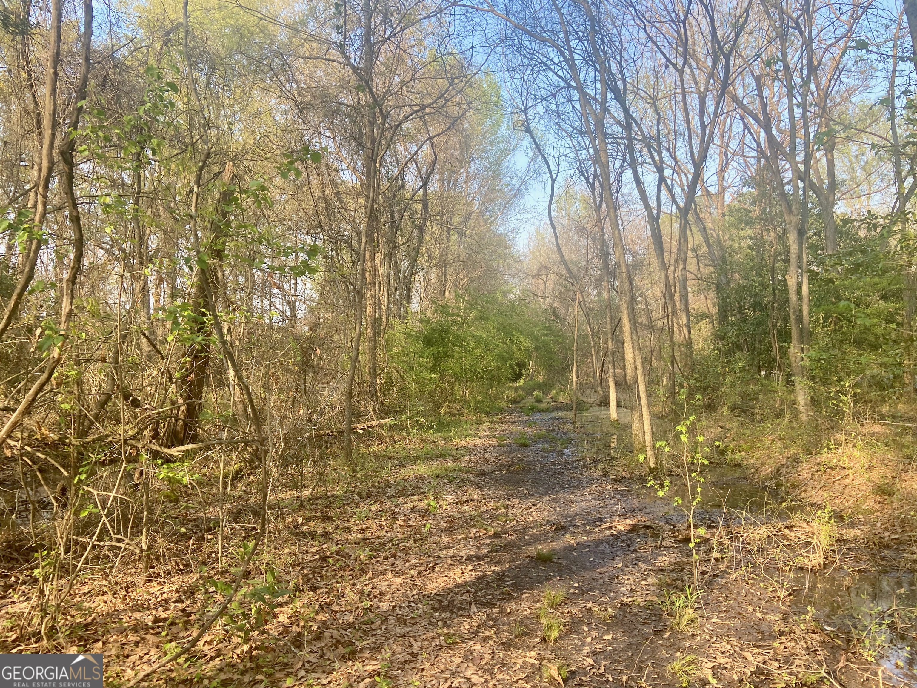 0 Moseley Road Byron, GA 31008 - Photo 5 of 11 a bathroom with a shower