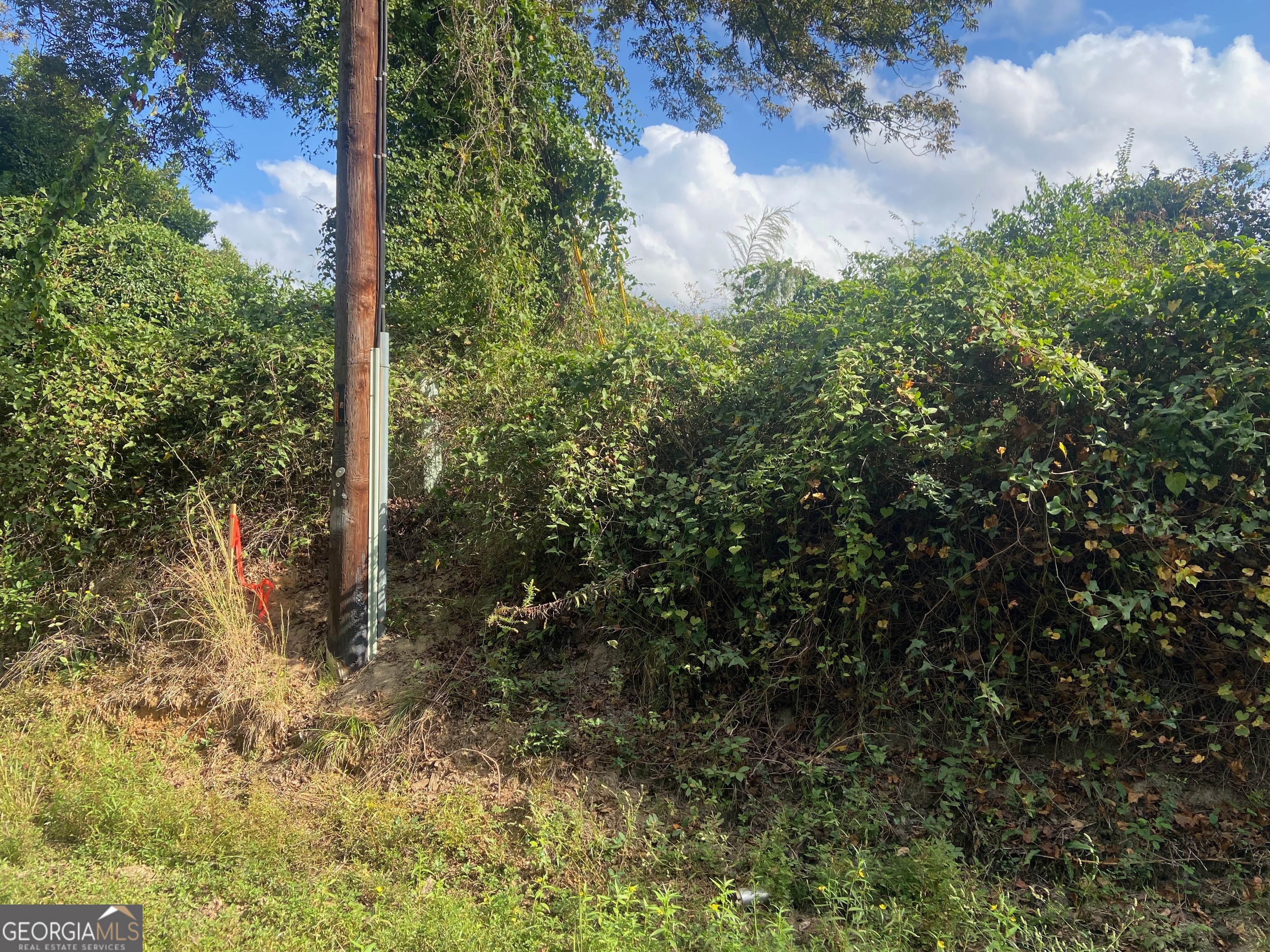 0 Moseley Road Byron, GA 31008 - Photo 6 of 11 a view of a yard
