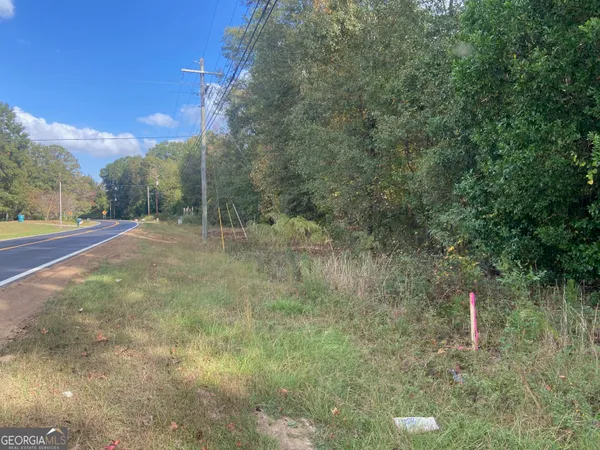 a view of a field with trees in the background