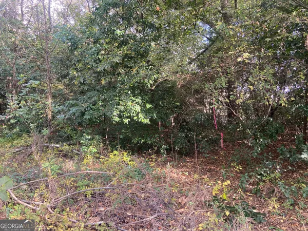 a view of a forest with trees