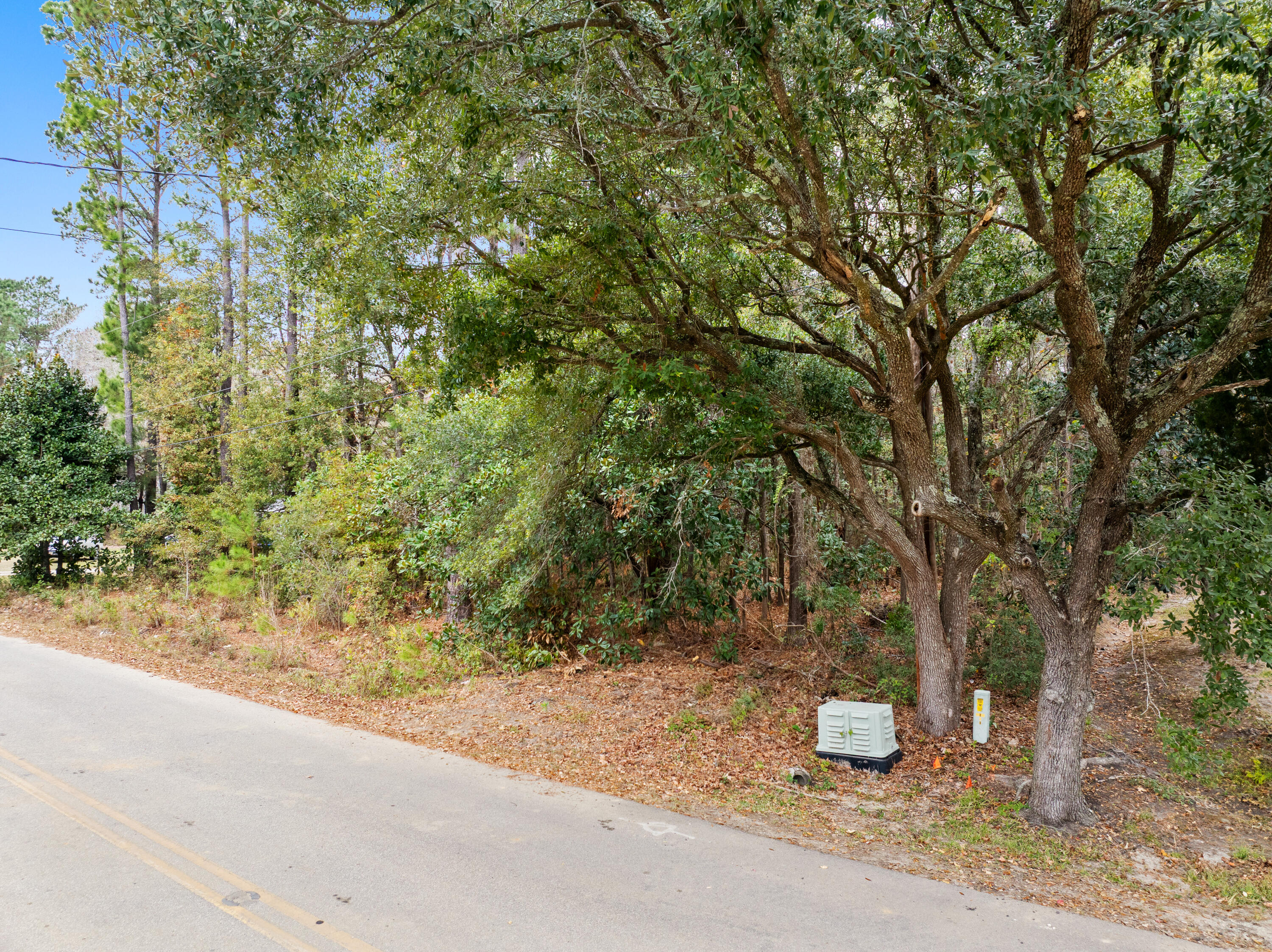 521 Hill Street Moncks Corner, SC 29461 - Photo 2 of 8 Hill.NicoleBurbagePhoto-2