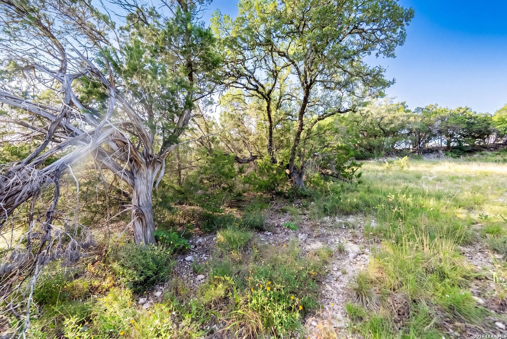 0 Contour Drive Spring Branch, TX 78070 - Photo 5 of 19