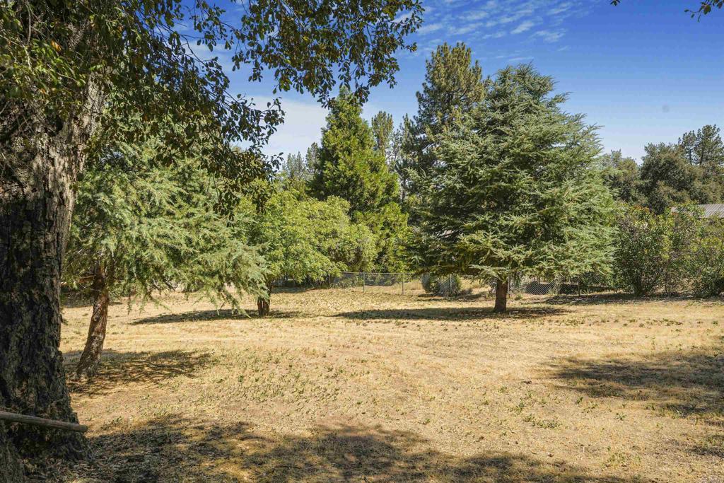 29012 Oak Lane Pine Valley, CA 91962 - Photo 15 of 38 a view of yard with large trees