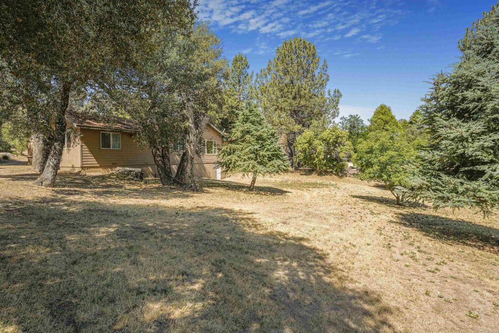 29012 Oak Lane Pine Valley, CA 91962 - Photo 17 of 38 a view of outdoor space with trees