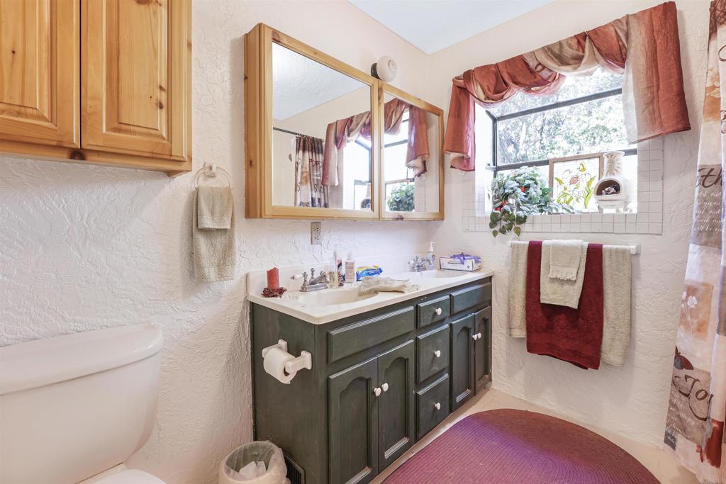 29012 Oak Lane Pine Valley, CA 91962 - Photo 24 of 38 a bathroom with a sink a vanity and a toilet