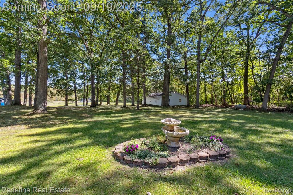 3777 Dorr Road Brighton, MI 48116 - Photo 12 of 77
