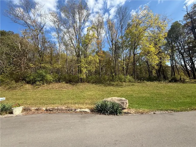 a backyard of a house with large trees and plants