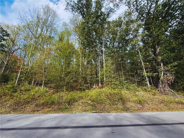 front view of a garden with plants