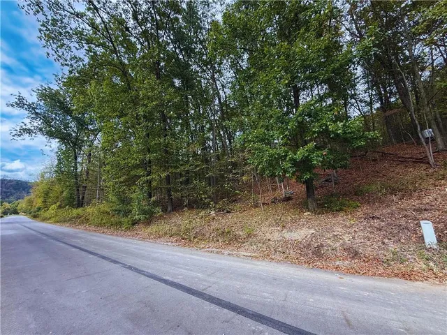 a view of a forest with trees