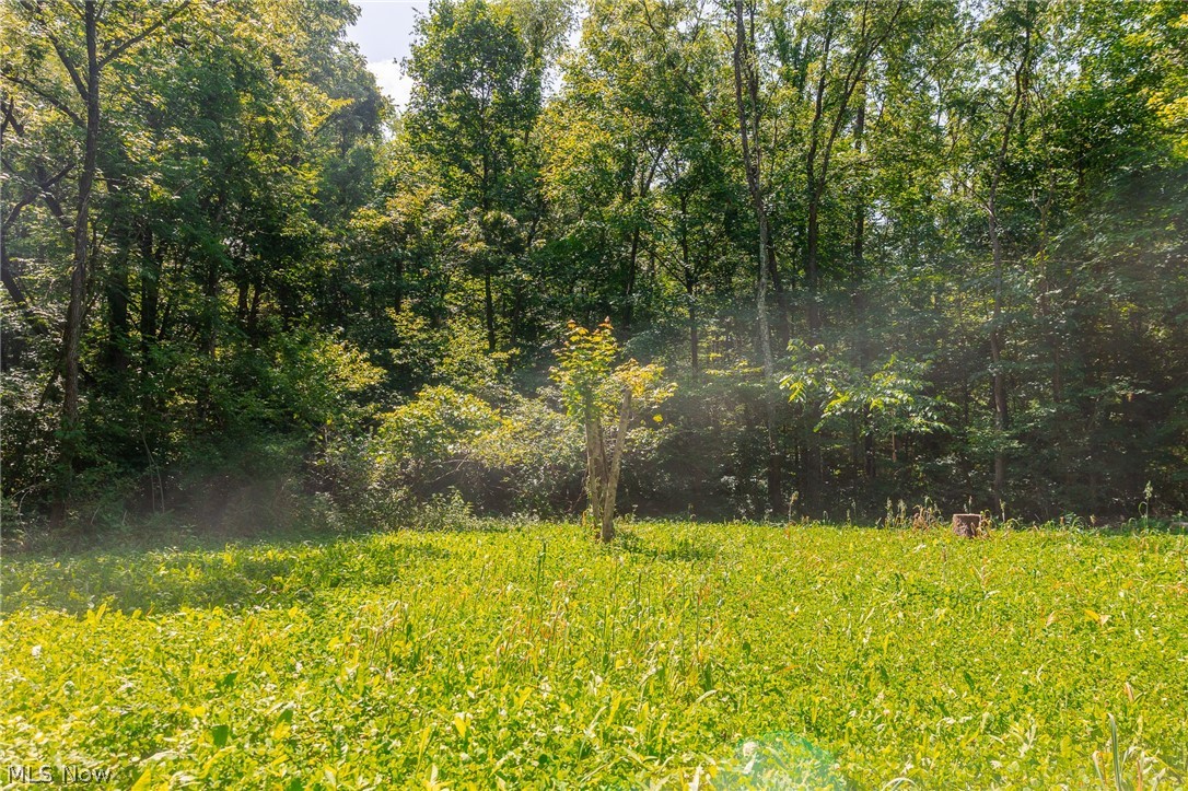 Richards Rd Road Cambridge, OH 43725 - Photo 24 of 46