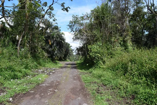 $12,000 | 14-3539 Lot 287 Kauai Road, Pahoa, HI 96778