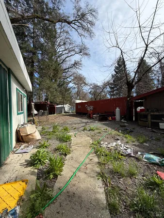 a view of a backyard with a tree