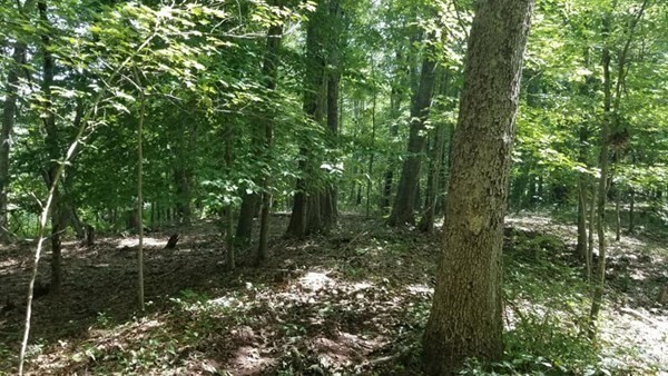 Xo Brook Road Scotland, CT 06247 - Photo 6 of 13 Gallery Image 6