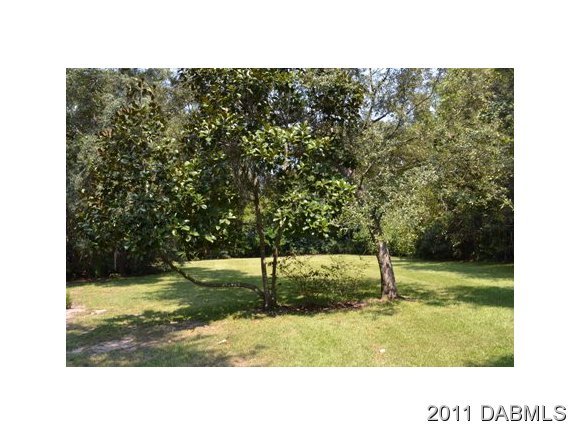 731 Pringle Road Port Orange, FL 32127 - Photo 3 of 20 Additional Photo