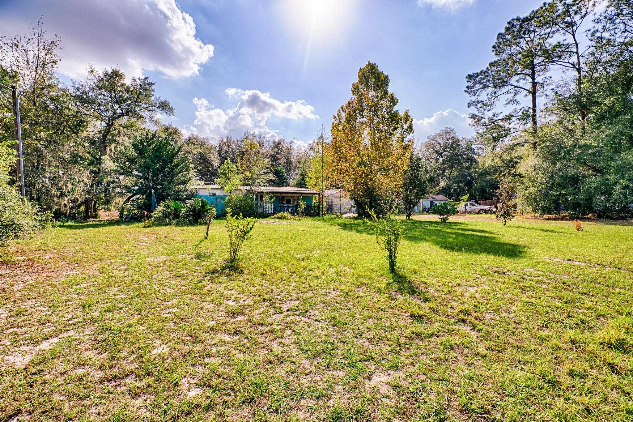 185 Lakeview Road Melrose, FL 32666 - Photo 24 of 44