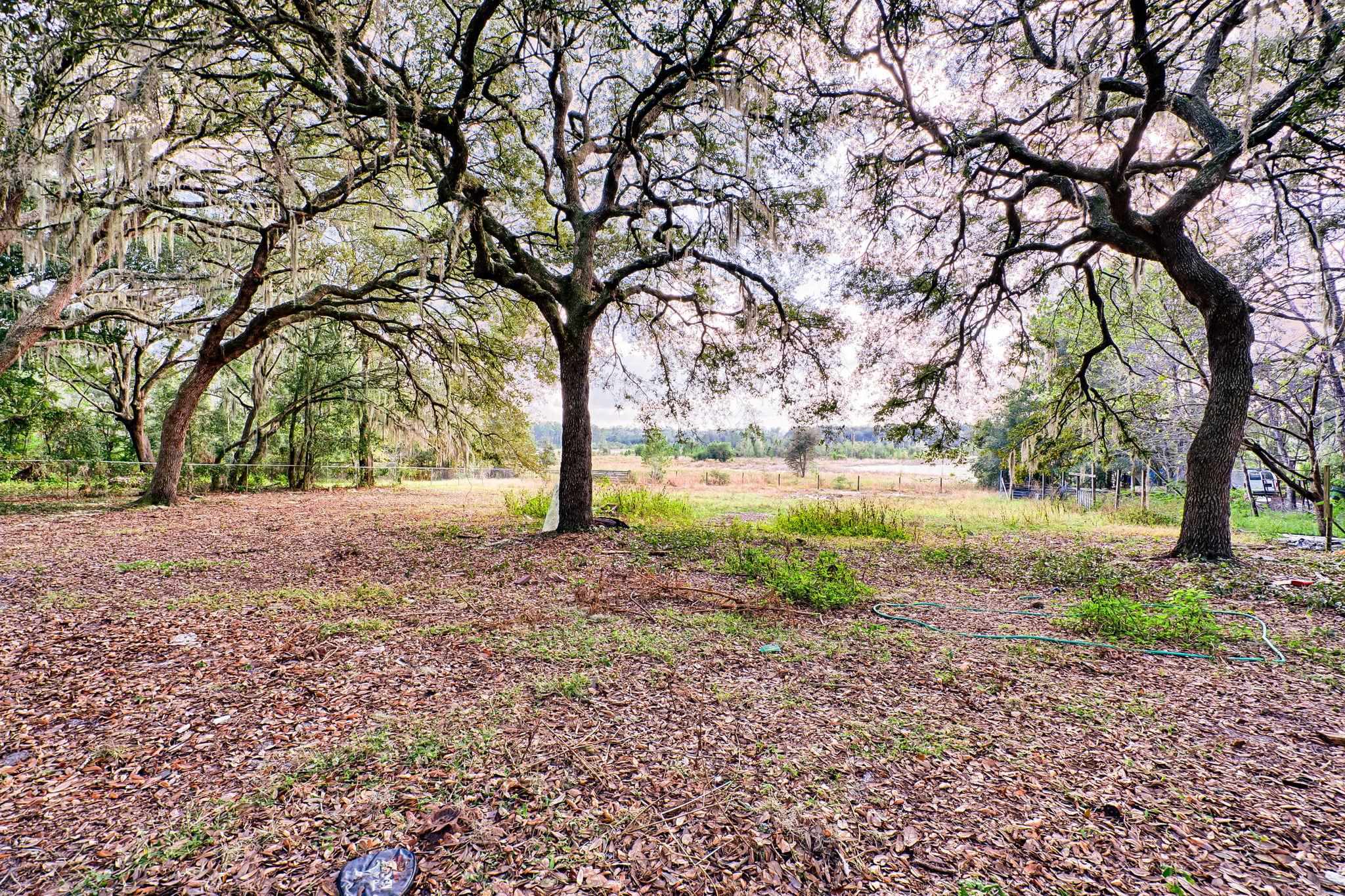 185 Lakeview Road Melrose, FL 32666 - Photo 27 of 44