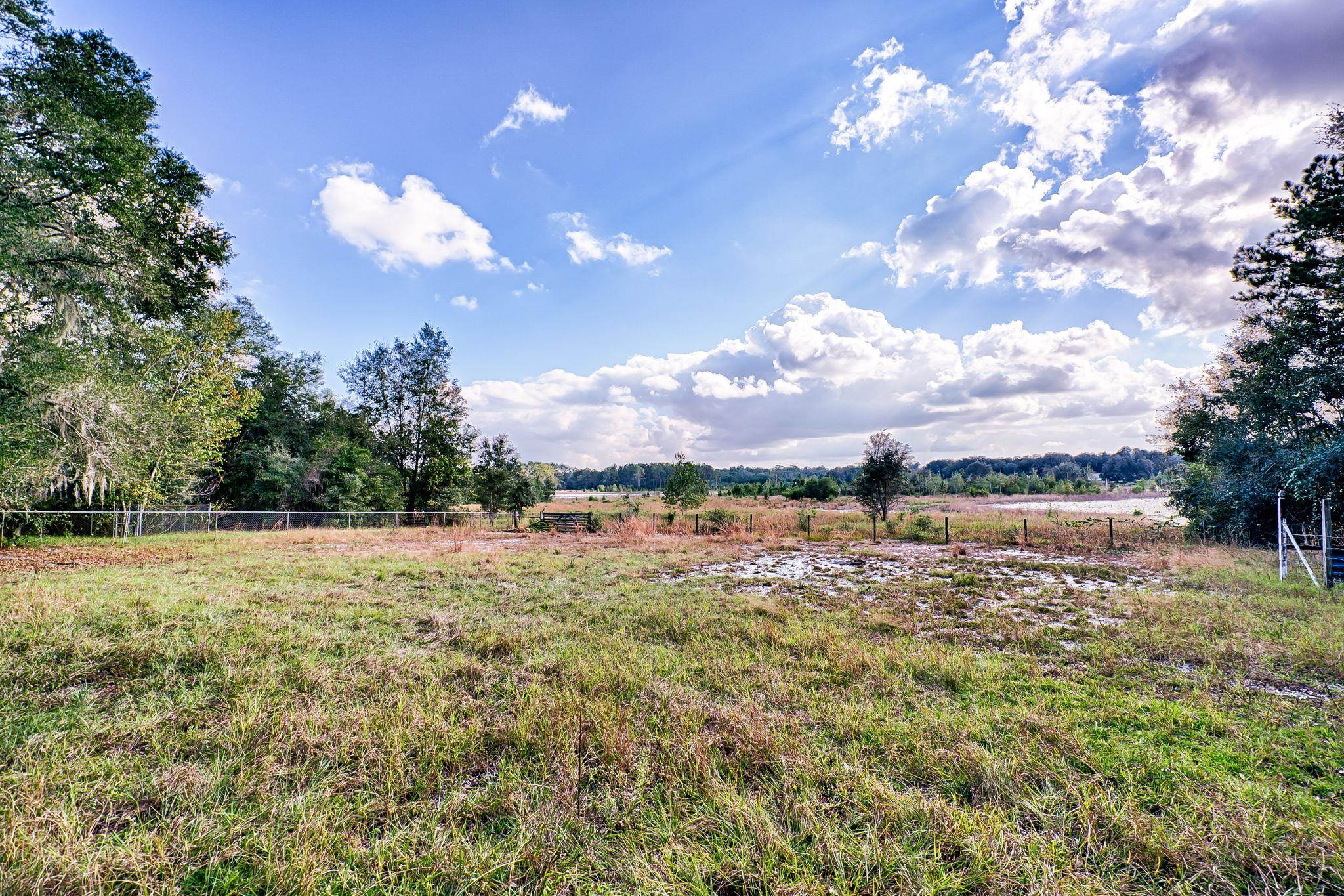 185 Lakeview Road Melrose, FL 32666 - Photo 30 of 44