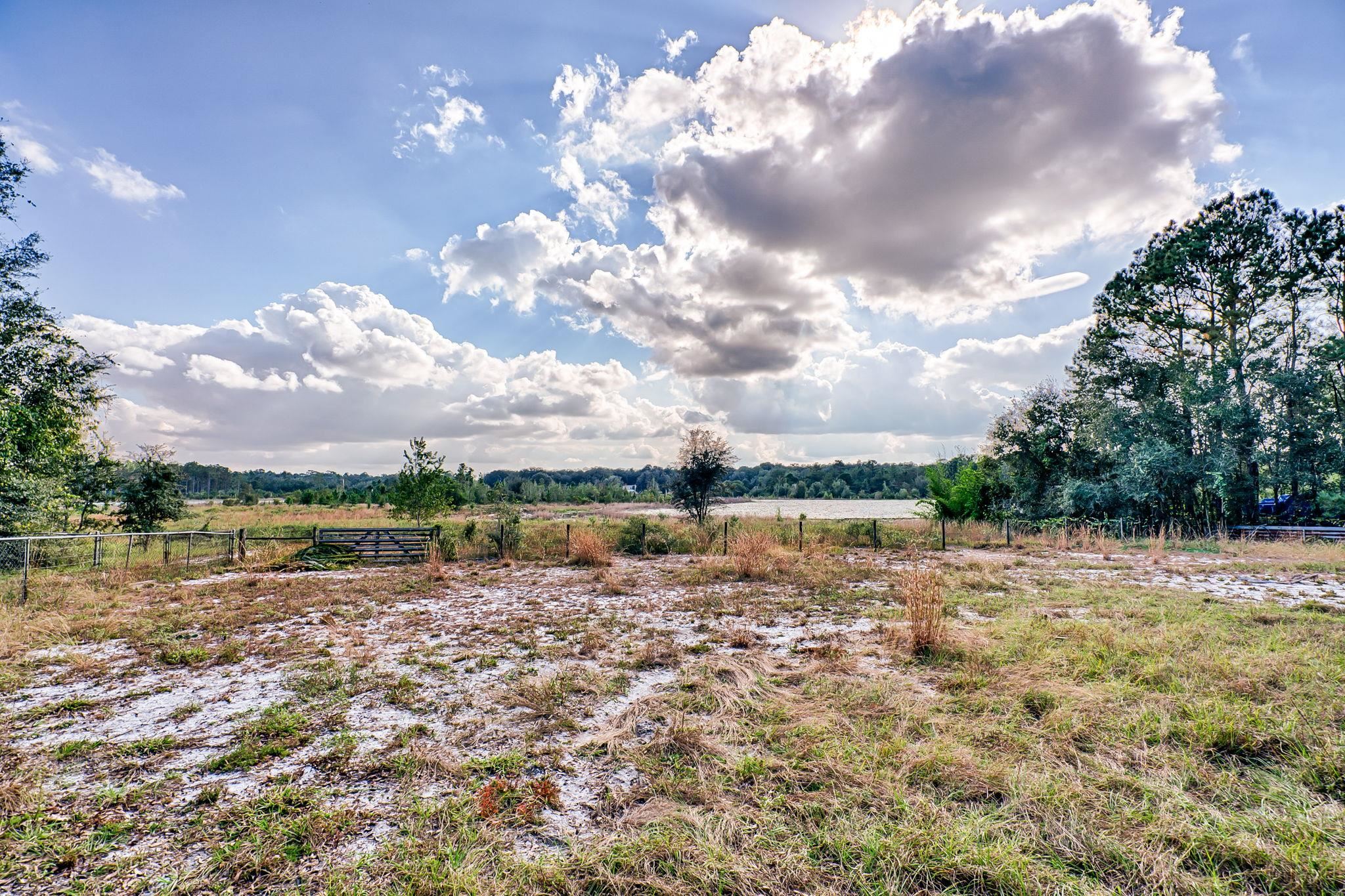 185 Lakeview Road Melrose, FL 32666 - Photo 31 of 44