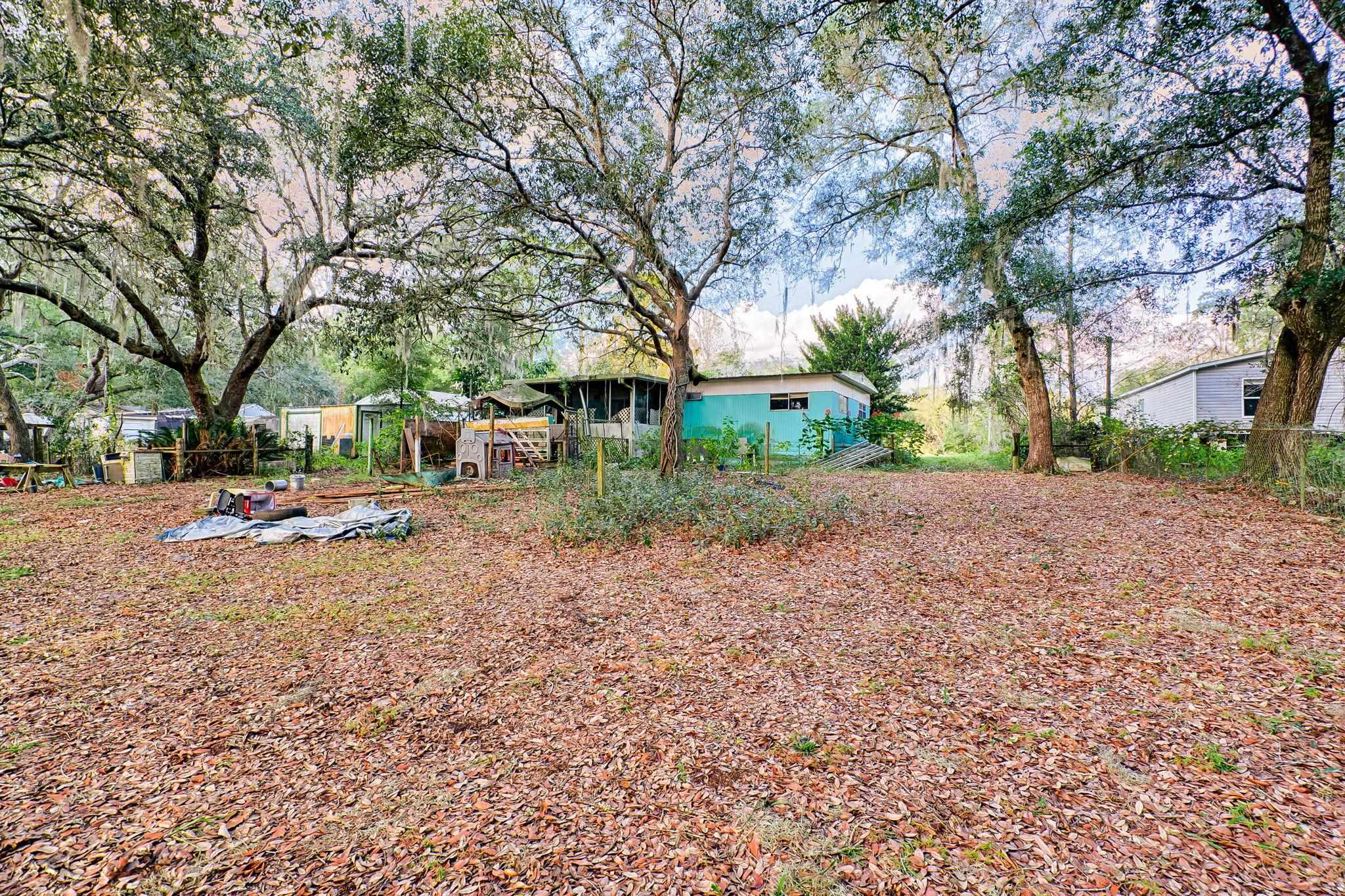 185 Lakeview Road Melrose, FL 32666 - Photo 33 of 44