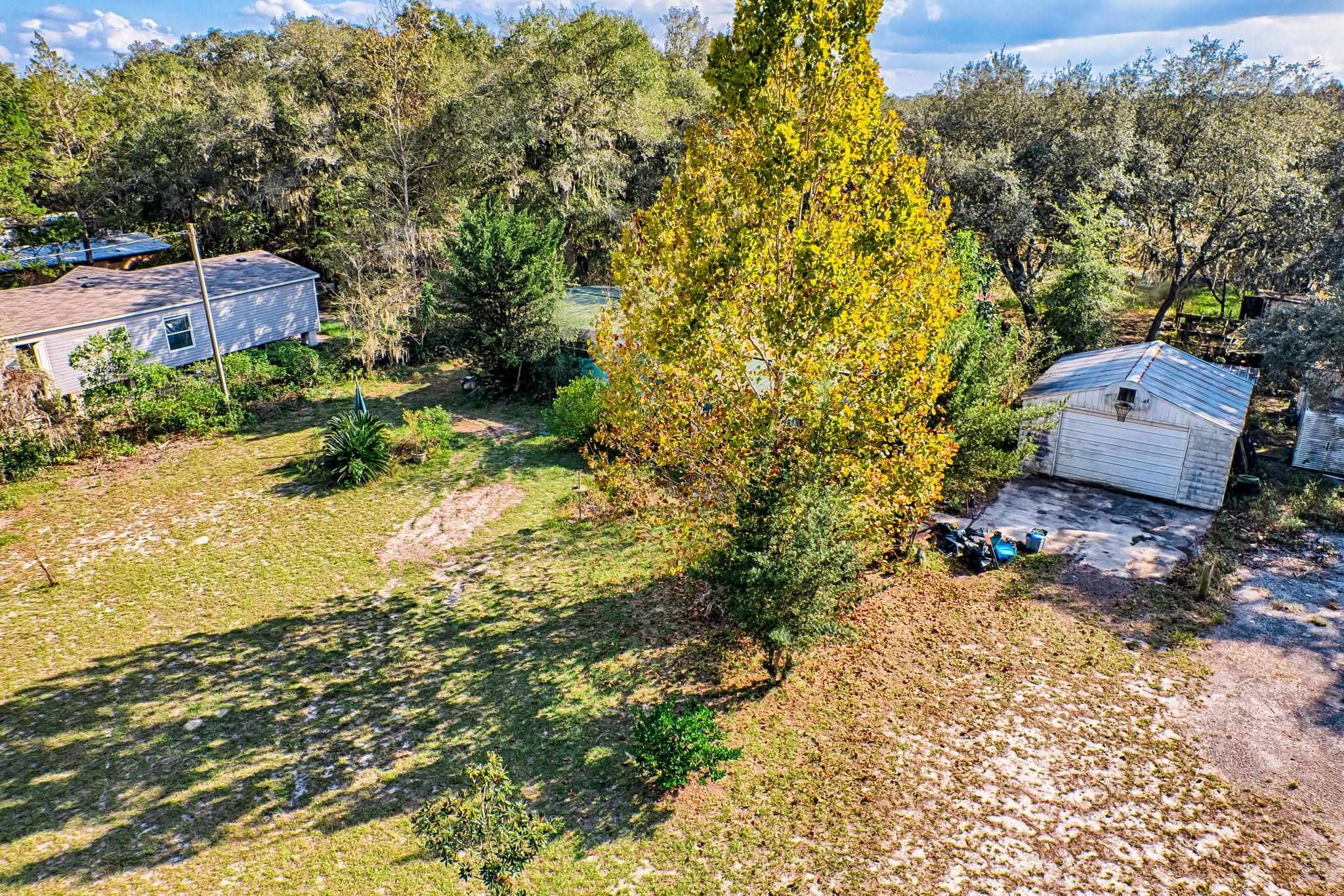 185 Lakeview Road Melrose, FL 32666 - Photo 37 of 44