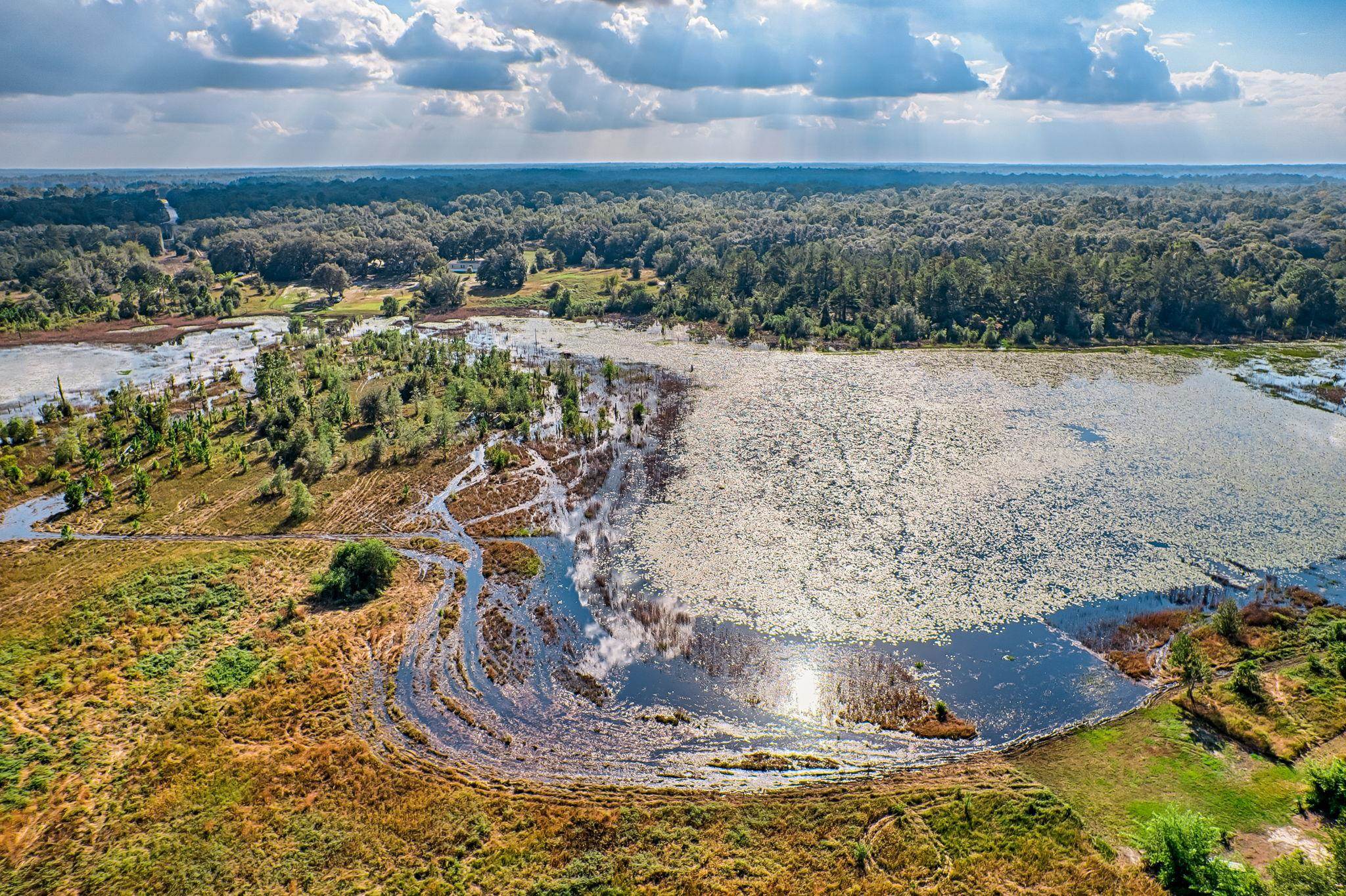 185 Lakeview Road Melrose, FL 32666 - Photo 38 of 44