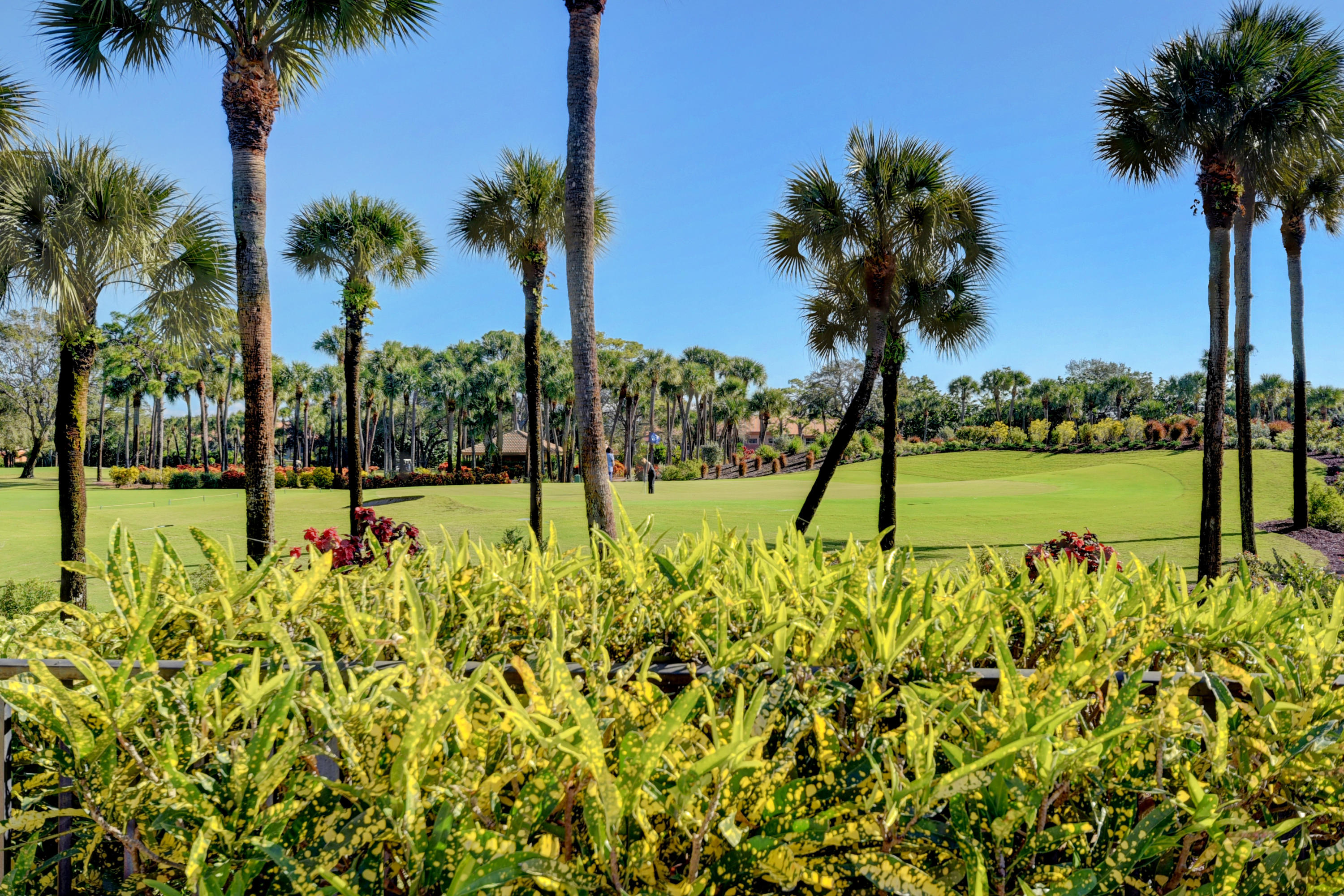 17192 Shaddock Lane Boca Raton, FL 33487 - Photo 23 of 25 17192 Backyard golf