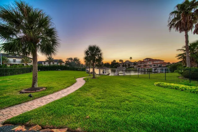 a view of a park with palm trees