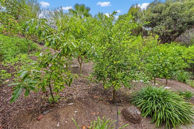 $2,750,000 | 2946 Crystal Ridge Road, Encinitas, CA 92024