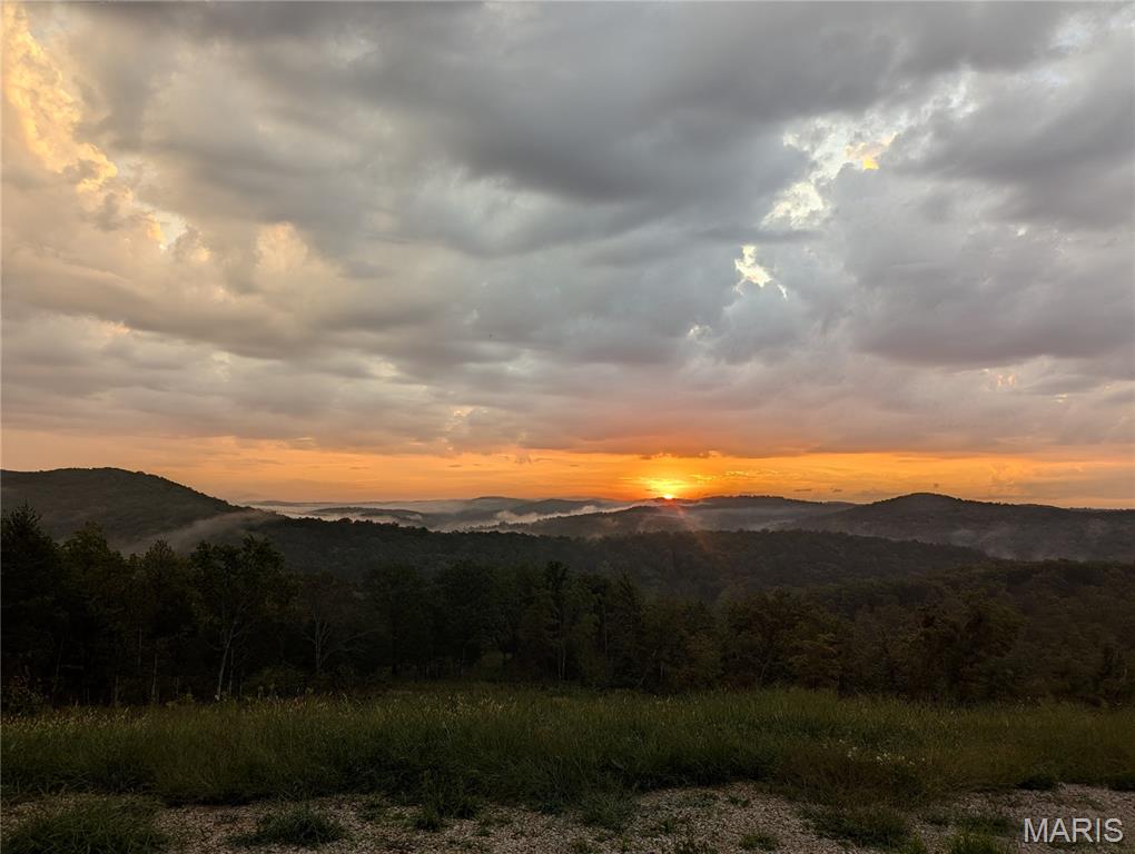 14055 State Rte CC Salem, MO 65560 - Photo 53 of 59