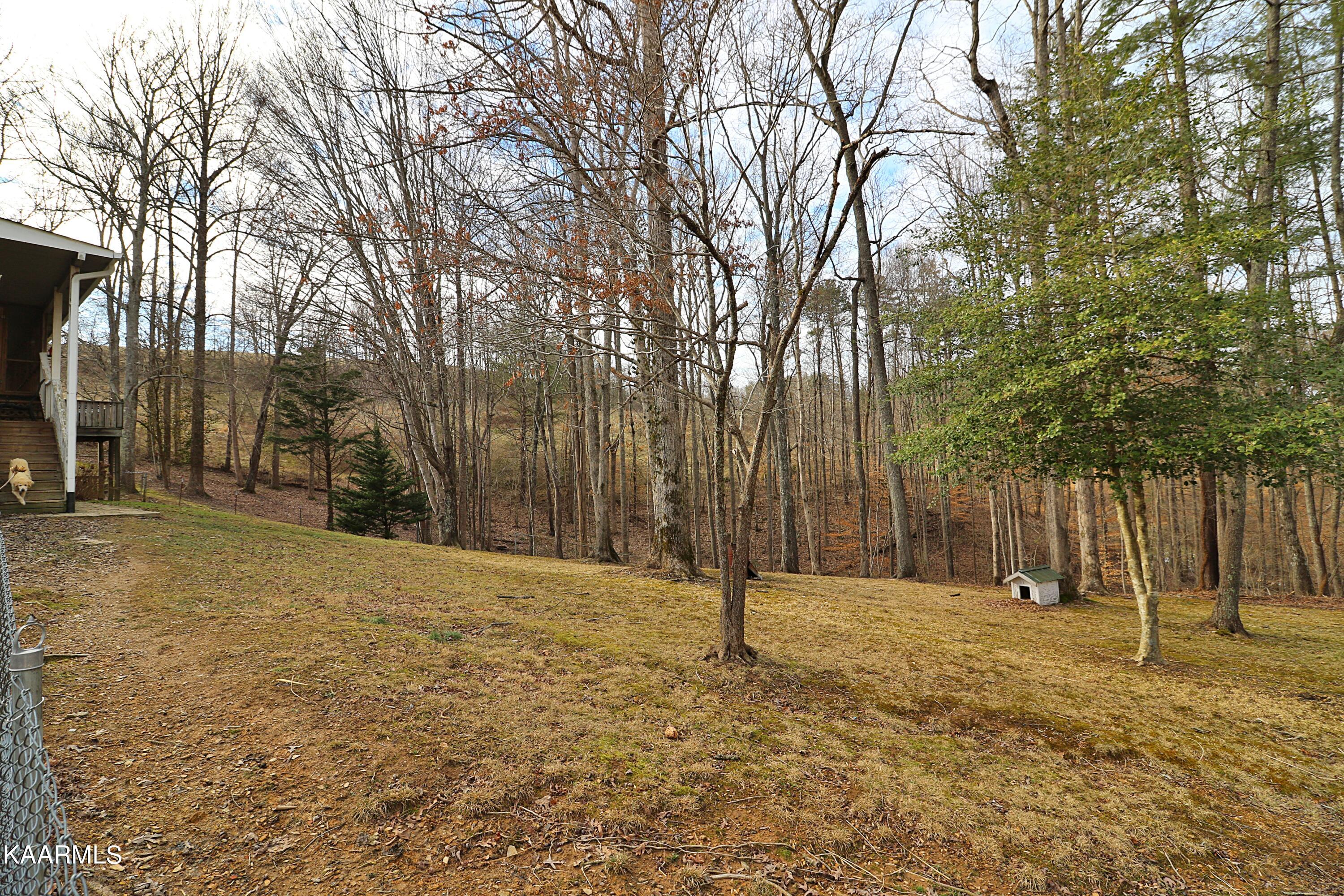 2079 Terry Road Oneida, TN 37841 - Photo 38 of 60 094A8874