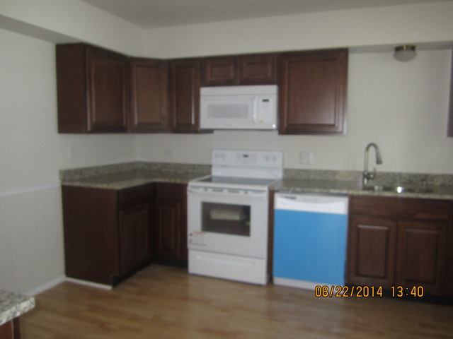 1338 Birch Road Homewood, IL 60430 - Photo 3 of 9