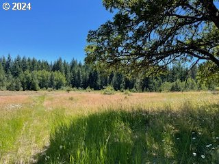 725 Snowden Road White Salmon, WA 98672 - Photo 11 of 31 Gallery Image 11