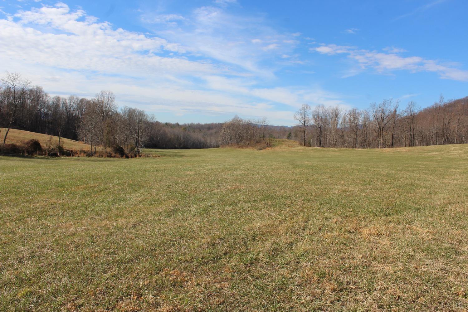 -0 Wagon Trail Road Monroe, VA 24574 - Photo 12 of 19 Gallery Image 12