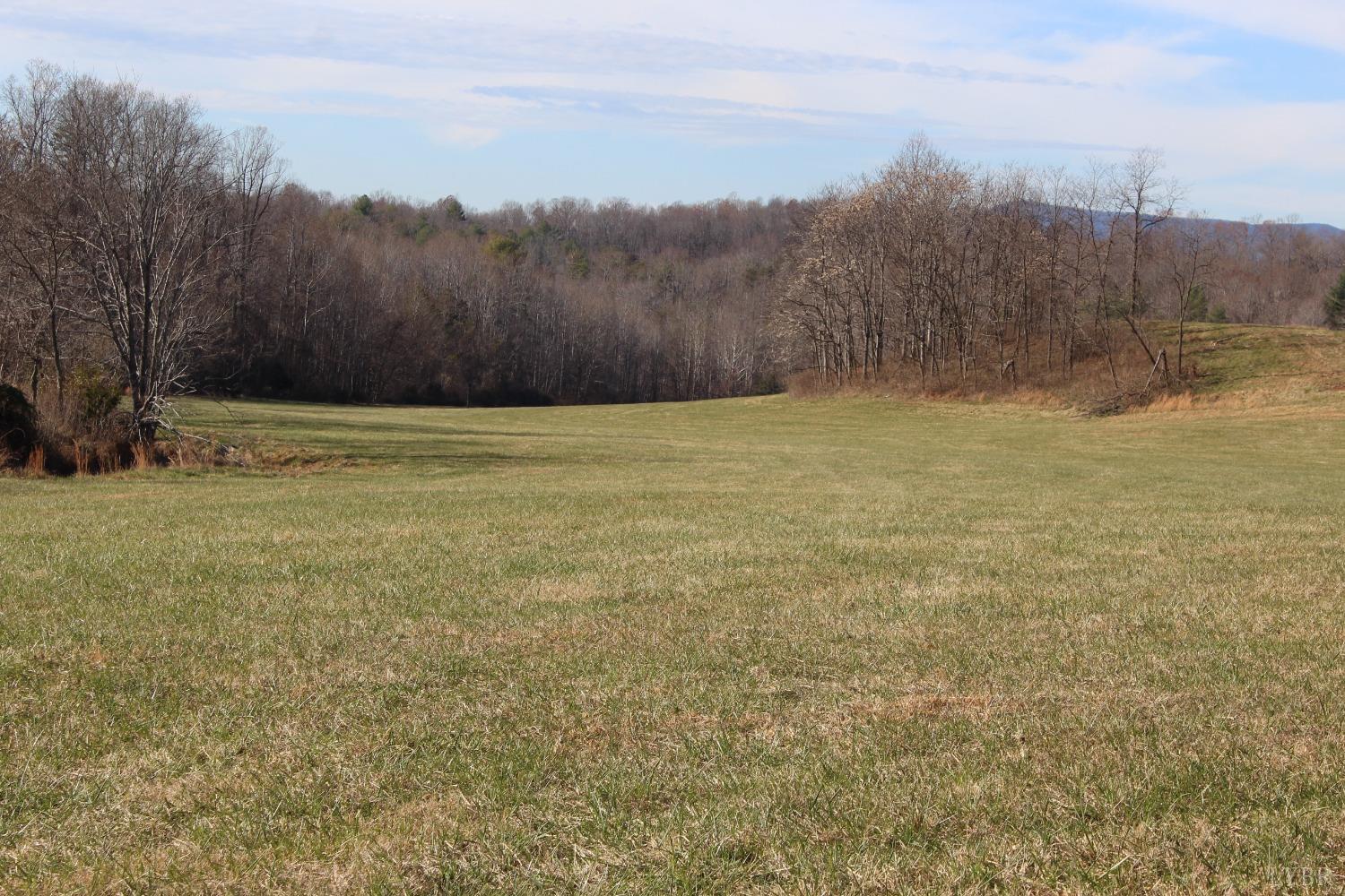 -0 Wagon Trail Road Monroe, VA 24574 - Photo 13 of 19 Gallery Image 13