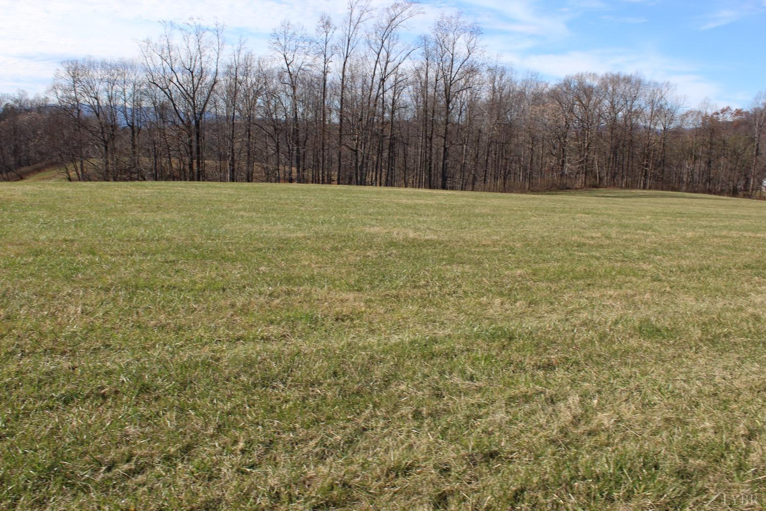 -0 Wagon Trail Road Monroe, VA 24574 - Photo 15 of 19 Gallery Image 15