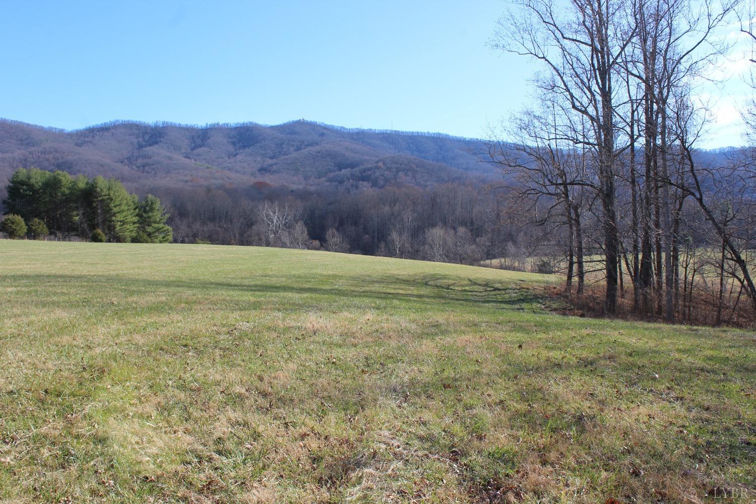 -0 Wagon Trail Road Monroe, VA 24574 - Photo 4 of 19 Gallery Image 4