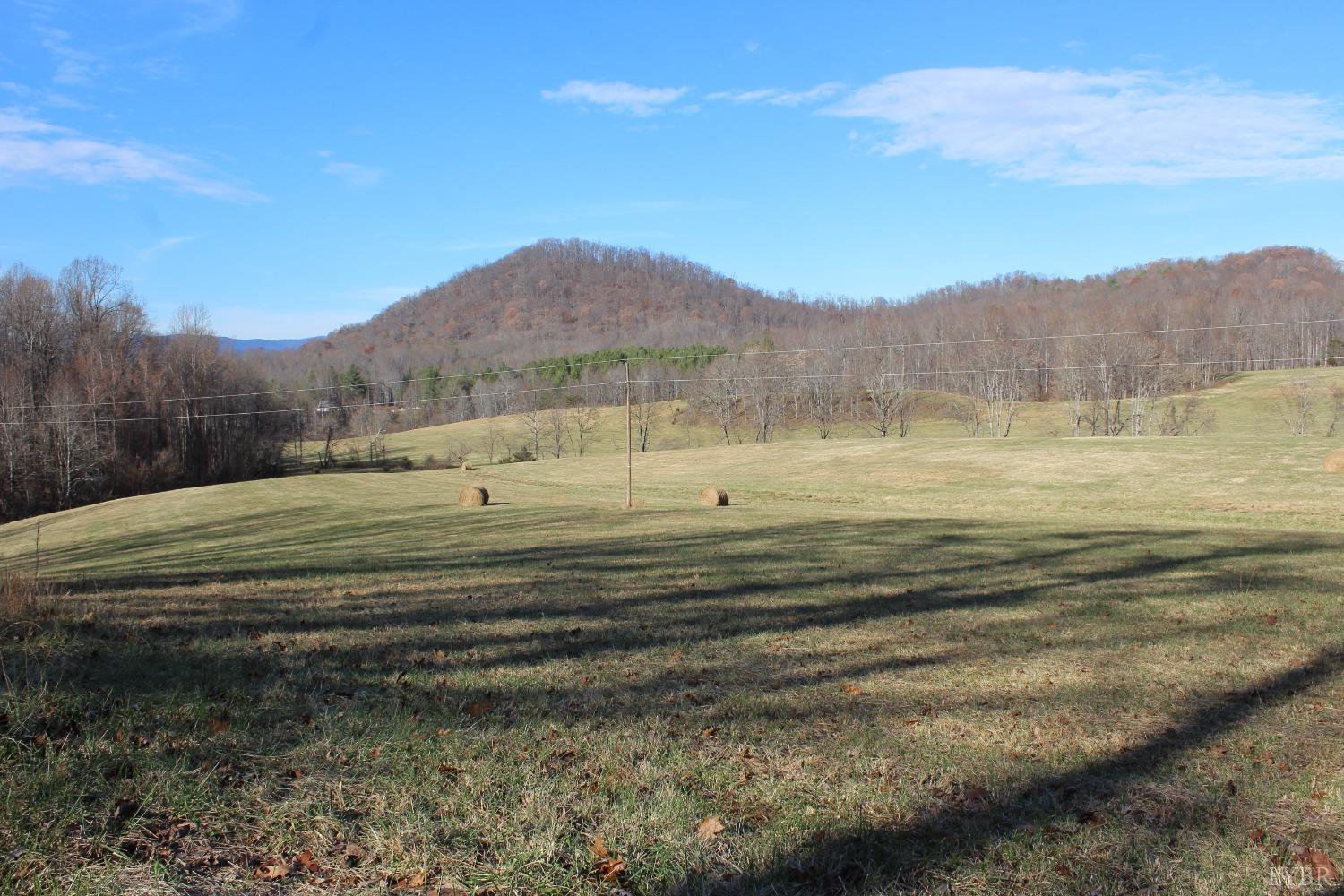 -0 Wagon Trail Road Monroe, VA 24574 - Photo 5 of 19 Gallery Image 5